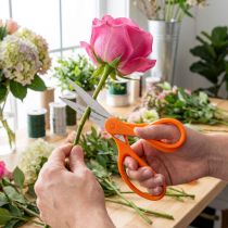 Prodotto Forbici per fiori con denti in acciaio inossidabile in arancione 20 cm