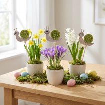 Prodotto Decorazione a forma di lumaca con bastoncino di fiori in feltro di legno verde 6,5 cm 12 pezzi