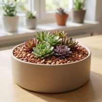 Prodotto Pietre naturali 16mm - 22mm Terra 2kg