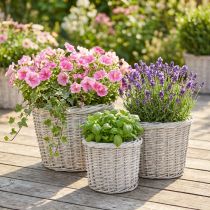 Prodotto Cesti da fiori grandi con rivestimento in lamina, bianco-grigio, Ø43/34/28 cm, set da 3