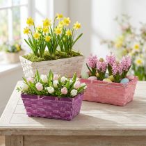 Prodotto Cestino per patatine quadrato viola/bianco/rosa 8 pz