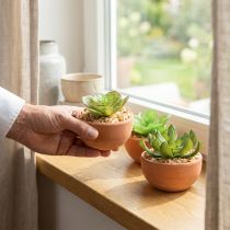 Prodotto Piante artificiali in vaso piante grasse artificiali H9cm 3pz