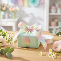 Prodotto Nastro arcobaleno pastello nastro decorativo nastro regalo 15mm 18m