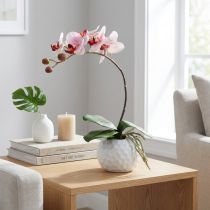 Prodotto Orchidea rosa in vaso di ceramica 31 cm