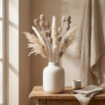 Prodotto Salignum imbiancato protea su gambo 25 pz