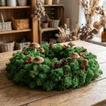 Prodotto Muschio decorativo verde muschio islandese conservato per artigianato 400 g