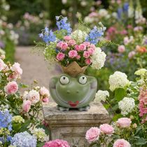 Prodotto Frog King Deco Vaso Decorazione da giardino Vaso rana 21 × 17,5 × 23 cm