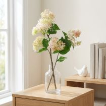 Prodotto Ramo decorativo ramo di sambuco lilla artificiale H77cm