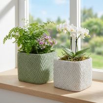 Prodotto Fioriera in ceramica bianco verde rilievo rete 17x17cm H15cm 2pz