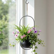 Prodotto Cesto sospeso Cesto sospeso in metallo fiori zinco nero Ø15cm