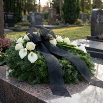 Prodotto Nastro di chiffon organza nastro di organza nero 25mm 20m