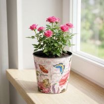 Prodotto Fioriera in plastica con motivo floreale da 10,5 cm, decorazione estiva per vasi di fiori