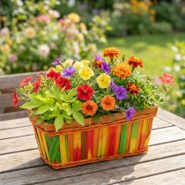 Prodotto Cestino per patatine quadrato multicolore 25 cm 9 pz