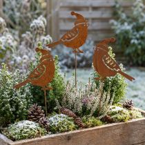 Prodotto Palo da giardino uccello con decorazione cappello patinato 12 cm 6 pz