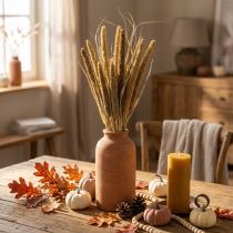 Prodotto Floristica secca Grano Mazzo di pannocchie di miglio essiccate 45 cm