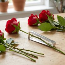 Prodotto Dethorner classico argento per rose 13 cm