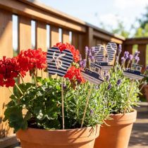 Prodotto Paletto Da Giardino Infradito In Legno Marittimo Barca Blu Bianco 8cm 12 pz