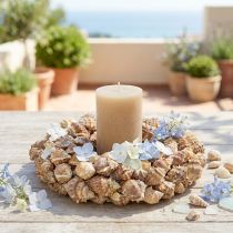 Prodotto Corona di conchiglie decorazione da parete Corona decorativa naturale da appendere Ø35 cm