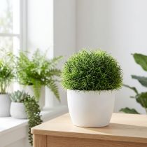 Prodotto Palla d'erba verde palla decorativa artificiale Ø15cm 1 pezzo