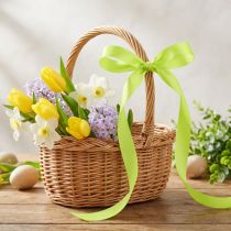 Prodotto Nastro decorativo regalo verde lime 15 mm 50 m