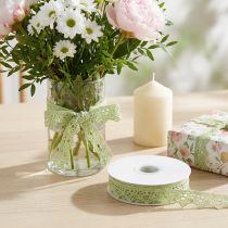 Prodotto Nastro decorativo in pizzo verde 22mm 20m