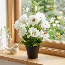 Prodotto Papavero in una pentola fiori di seta bianca decorazione floreale