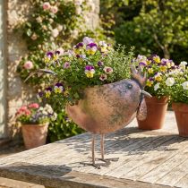 Prodotto Vaso per fiori Pollo Uccello in metallo Rosé metallizzato 51×16×37cm