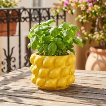 Prodotto Vaso da fiori in ceramica giallo limone Ø18cm H13cm