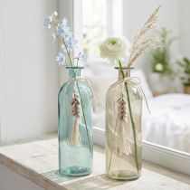 Prodotto Bottiglie vaso decorativo in vetro conchiglie ciprea marittima H26cm 2 pezzi