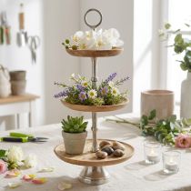 Prodotto Alzata per torta decorazione da tavolo in legno di mango naturale Ø19/23/28cm H55cm