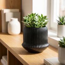 Prodotto Vaso da fiori fioriera in ceramica scanalature nero Ø10cm H8.5cm