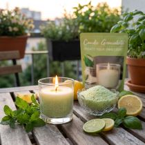 Prodotto Granuli di cera per candele con stoppino di sabbia profumato alla citronella 400 g
