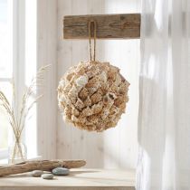 Prodotto Decorazione conchiglia palla lumache di mare Decorazione marittima da appendere Ø18cm