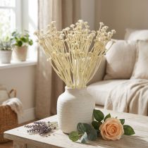 Prodotto Erba di curry artificiale bianco beige L28 cm 12 pezzi 1 mazzo