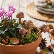 Prodotto Paletti decorativi a forma di fiore e fungo, in legno, marroni, Ø2,5 cm, 8 pezzi