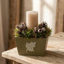 Prodotto Fioriera in legno, stile shabby chic, verde, 11×14,5×14 cm