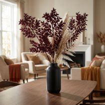 Prodotto Rami decorativi Ruscus Red essiccati rosso scuro 75-95 cm 1 kg