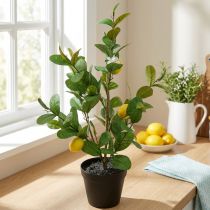 Prodotto Albero di limone artificiale in vaso, 65 cm, pianta decorativa, pianta artificiale