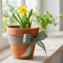 Prodotto Nastro di iuta, nastro a rete, nastro decorativo, iuta, salvia verde, 5 cm di larghezza, 40 m di lunghezza