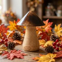 Prodotto Fungo decorativo in legno effetto lucido marrone naturale Ø7,5 cm H10 cm