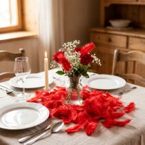 Prodotto Piume corte rosse 30g