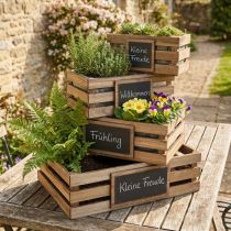 Prodotto Scatola in legno con scatola per piante in cartone 40/35/30/25 cm set da 4