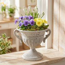 Prodotto Trofeo antico con manici decorazione in metallo vintage grigio bianco H18cm
