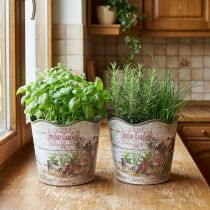 Prodotto Vaso per erbe aromatiche vaso per fiori in plastica Fresh Garden H13,5cm 2 pezzi