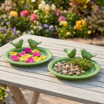 Prodotto Piatto decorativo vasca per uccelli decorazione da tavolo ceramica verde Ø20,5cm 2pz