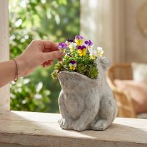 Prodotto Vaso decorativo per piante a forma di rana, in cemento grigio, altezza 18,5 cm