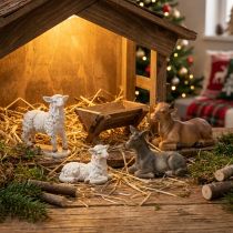 Prodotto Figure di animali per presepe di Natale set 6-11 cm 4 pz