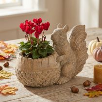 Prodotto Fioriera con decorazione scoiattolo Pietra fusa 26×14×19cm
