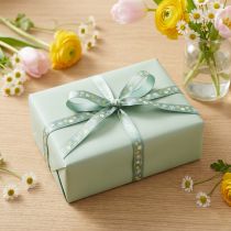 Prodotto Nastro regalo fiori nastro decorativo nastro verde 10 mm 15 m