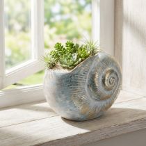 Prodotto Contenitore decorativo a forma di lumaca per decorazioni murali in stile marittimo e naturale, grigio, 21 cm